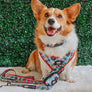 Dog Waste Bag Holder - Looney Tunes™ Blue