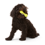 Hurley® Dog Toy for Chew, and Fetch