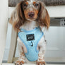 Dog Adjustable Harness - Blumond