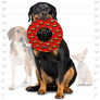 Mighty Ring - Red, Durable, No Stuffing