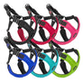 #04612 - Escape Free Sport Harness- Turquoise