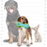 DuraForce Jr Bone Tiger - Blue, Durable