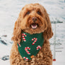 Candy Cane Knit Holiday Dog Bandana