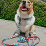Dog Waste Bag Holder - Looney Tunes™ Blue