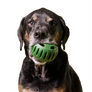 The Pupsicle