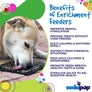 Enrichment Lick Mat - Zombies