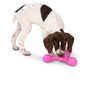 Skamp® Dog Toy for Play, Tug, and Fetch