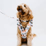 Leaf Dog Rain Jacket