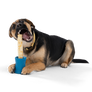 Funnl™ Dog Chew Treat-Dispensing Dog Toy