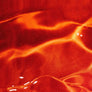 Wild-Caught Alaskan Sockeye Salmon Oil, Skin & Coat Health