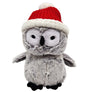 Frosty Owl
