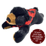 Jan Bear