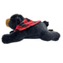 Jan Bear