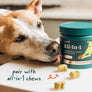 Pupsicle Pops- All-in-1 Wellness