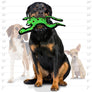 Tuffy Desert Phrog Leaping, Durable, Tough