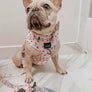 Dog Waste Bag Holder - Sakura (Spring)