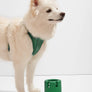 Tennis Tumble Interactive Dog Toy