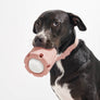 Tennis Tumble Interactive Dog Toy