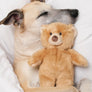 Fluff & Tuff Mr. Honey Bear