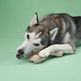 BetterBone Dog Chew: MEDIUM (Beef) Mini Size