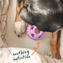 Pupsicle Pops- Calming Wellness