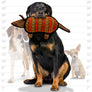Tuffy Desert Armadillo, Durable, Tough