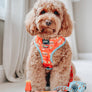 Dog Reversible Harness - One Hot Pupperoni