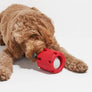 Tennis Tumble Interactive Dog Toy
