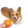 Toppl® Puzzle Treat-Dispensing Slow Feeder Dog Toy
