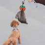 Strawberry Poopy Loop® Dog Waste Bag Holder