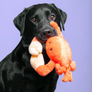 Fluff & Tuff Phyllis Crab