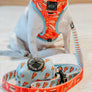 Dog Leash - One Hot Pupperoni (Food)