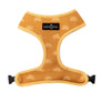 The Looking Sharp Harness