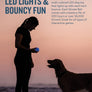 Planet Dog Orbee-Tuff Strobe Ball Light Up Dog Toy Blue