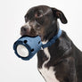 Tennis Tumble Interactive Dog Toy