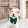 Forest Green Velvet Holiday Lady Dog Bow