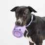 Tennis Tumble Interactive Dog Toy