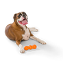 Rumpus® Dog Chew Toy