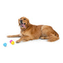 Boundr® 2-Pack Dog Toy Ball for Play, Chew, and Fetch