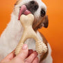 BetterBone Dog Chew: HARD (Beef) Small/Medium Size