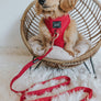 Dog Leash - Merlot