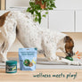 Pupsicle Pops- Hip & Joint Wellness