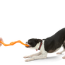 Bumi® Dog Toy for Chew, Tug, and Fetch- Small