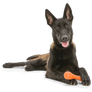Hurley® Dog Toy for Chew, and Fetch