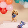 Birthday Yay Navy Dog Bandana