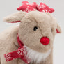 Rudy Reindeer Squooshie
