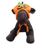 Jack-O-Lantern Hat