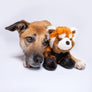 Fluff & Tuff Archie Red Panda