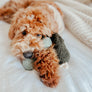 Pea Pop // Enrichment Toy // Snuffle Toy