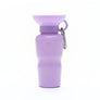 Classic Travel Bottle - 22 oz